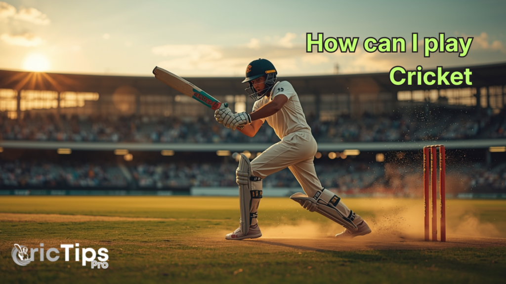 How can I play cricket