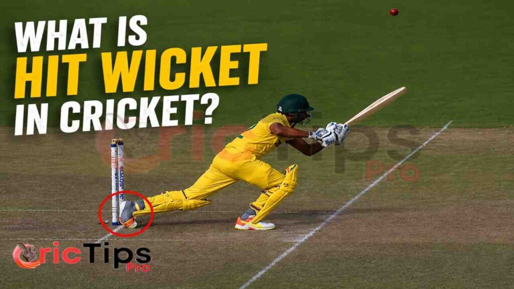 What Is Hit Wicket in Cricket? Batter accidentally touches the stumps during a cricket shot and gets out hit wicket.