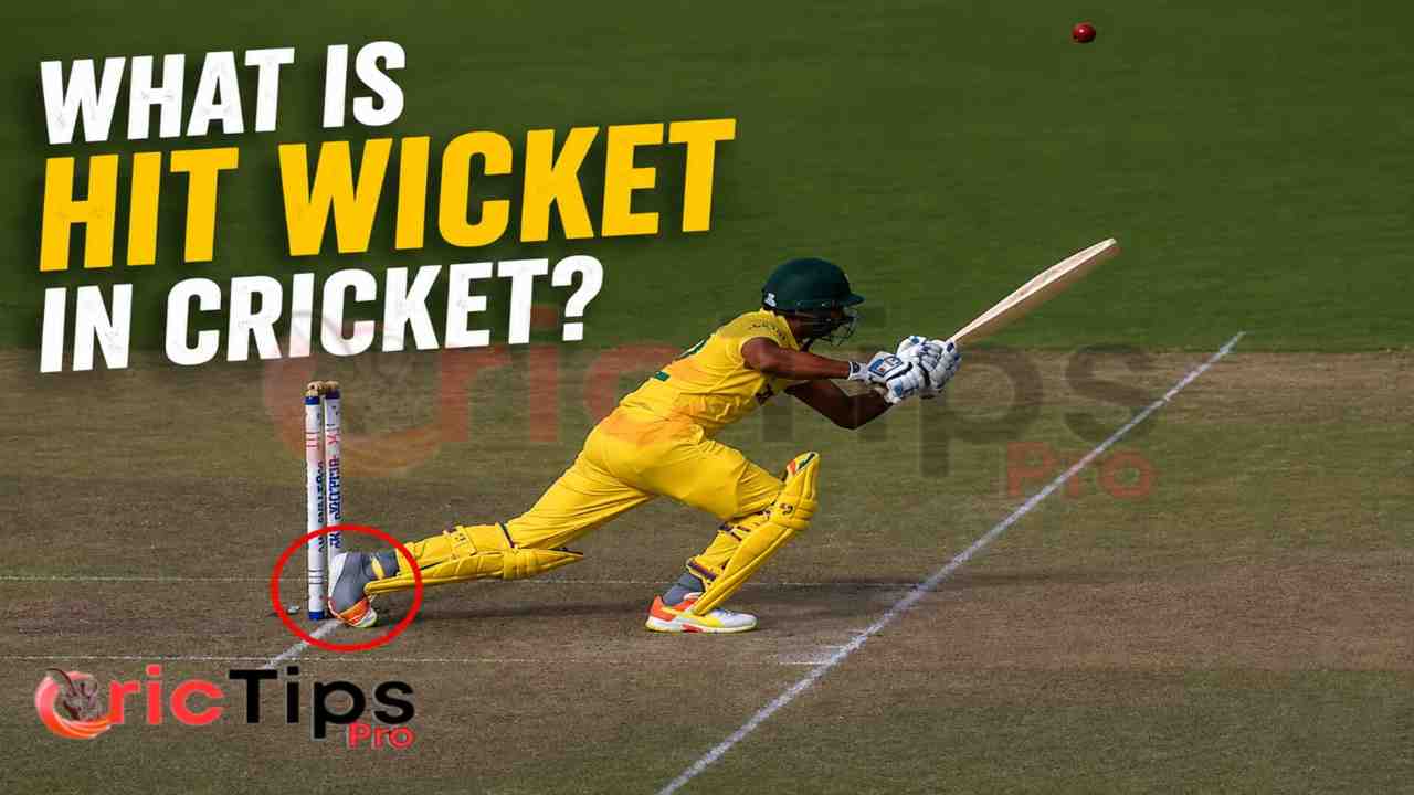 What Is Hit Wicket in Cricket? Batter accidentally touches the stumps during a cricket shot and gets out hit wicket.
