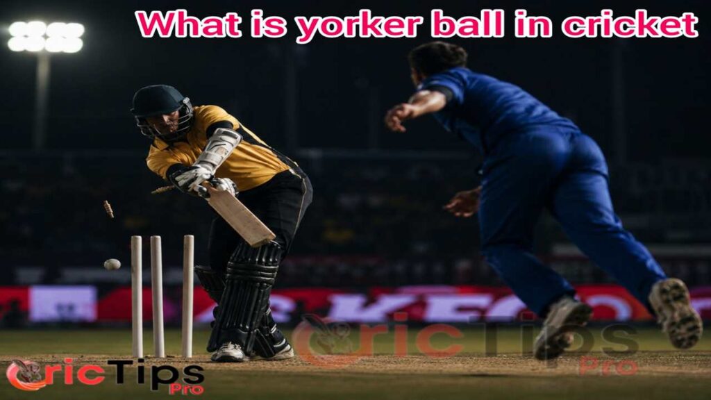 What is yorker ball in cricket explained with fast bowling example